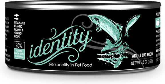 Identity 95% Sustainable Atlantic Salmon, Salmon Broth & Herring Pâté